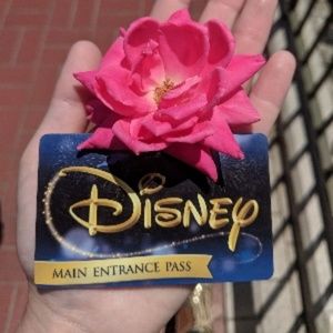 Meet your Posher, Miss Alexandria